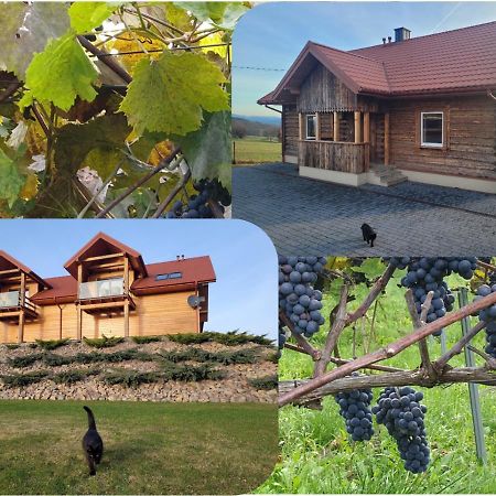 Fantastic View Vineyard Beskid Mountains Gruszow  Exterior foto
