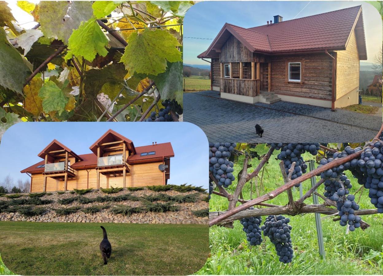 Fantastic View Vineyard Beskid Mountains Gruszow  Exterior foto