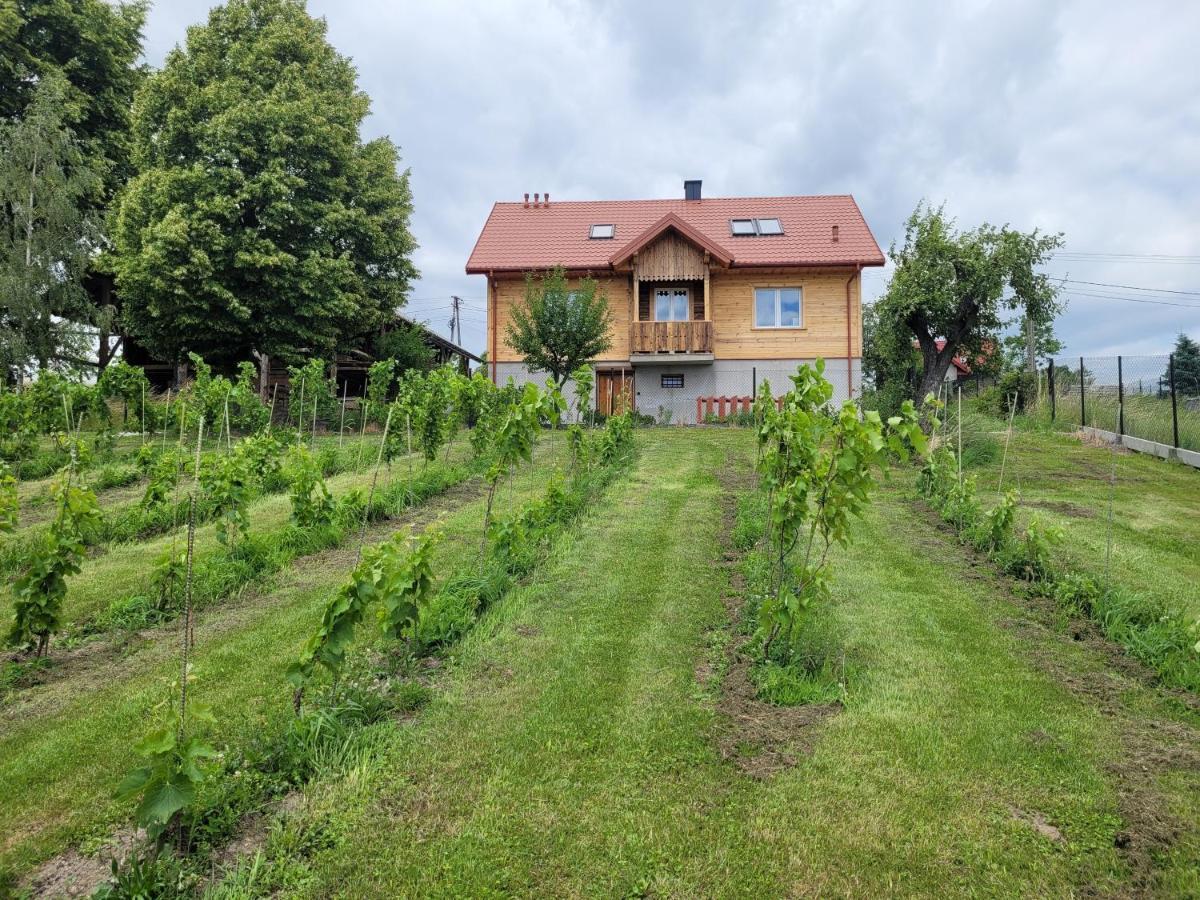 Fantastic View Vineyard Beskid Mountains Gruszow  Exterior foto