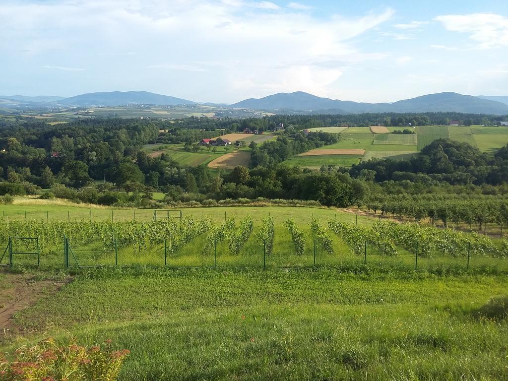 Fantastic View Vineyard Beskid Mountains Gruszow  Exterior foto